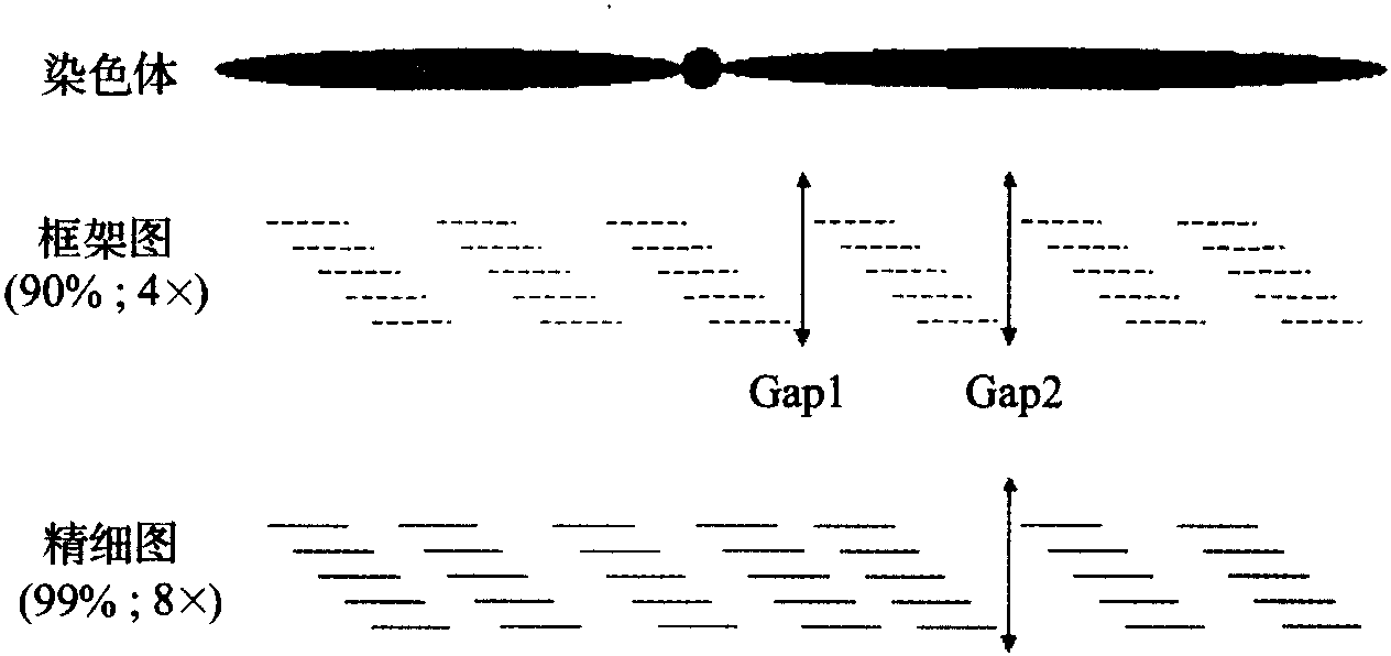 1.2.1 工作框架圖與精細(xì)圖